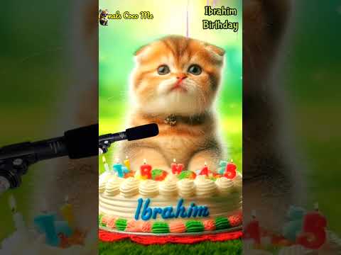 IBRAHIM BIRTHDAY | HAPPY BIRTHDAY SONG WITH NAMES | Adorable Cute Cat 😺 #cat #cute
