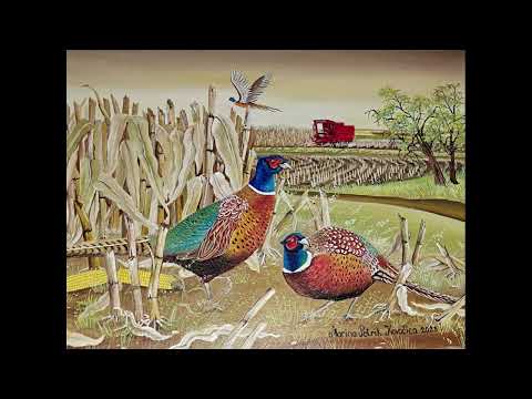 Ana Zlochova - od vychod slniečka