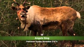 Angels Sing