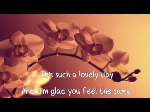 Travis - Flowers in the window (Lyrics)