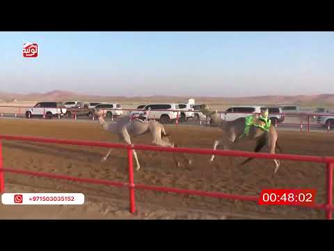  ش 12 (وديان) لـ حميد راشد بن ناصر الدرعي 2:09:28 ، شارة الصندوق 2026/05/09 فطامين الرقيعات