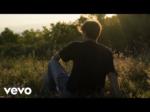 Revi - all I need (Audio)