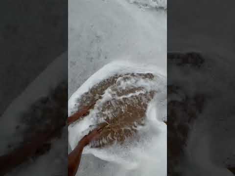 #trending #travel #goatravel #beach #indianstatetourism