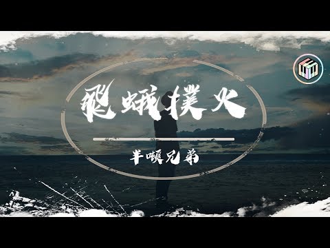 飛鵝撲火
