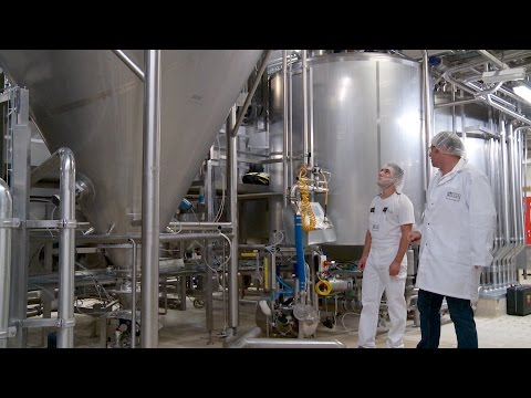 ESTAVAYER LAIT SA (ELSA), 1470 Estavayer-le-Lac