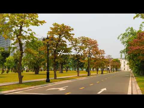 David Hasert  - The Sky Is Crying (Diode Eins Remix)