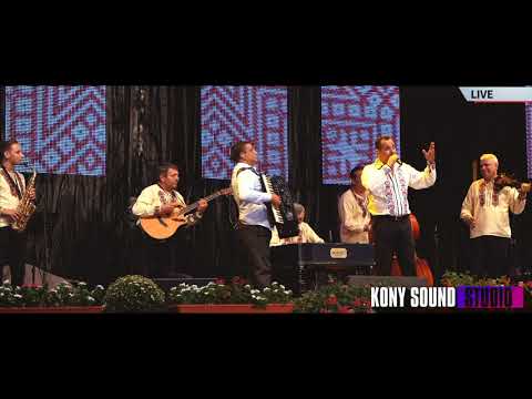 Cornel Oprea  - Ce urma lasa soimii in zbor ( LIVE 100% )