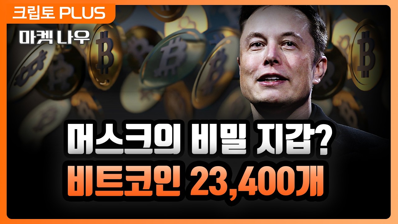 테슬라 물량 넘었다? 일론 머스크 '비트코인 2.3만 개' 보유의 진실…바닥 신호일까?ㅣ서동주, 김동환, 박…