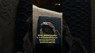 Զենք, թմրանյութեր և 4 ձերբակալություն. իրավապահների գործողությունը