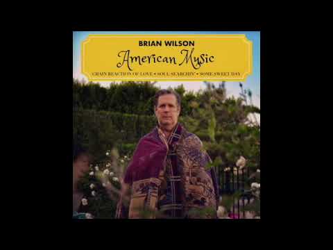 Brian Wilson - American Music