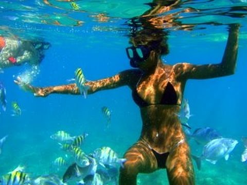 Live While You LIve - St Maarten Mullet Bay Beach Frisbee Snorkel