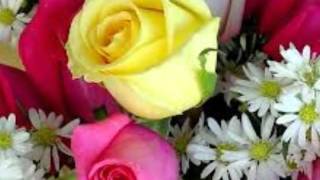 My Wild Irish Rose  &quot; By &quot;  John Gary