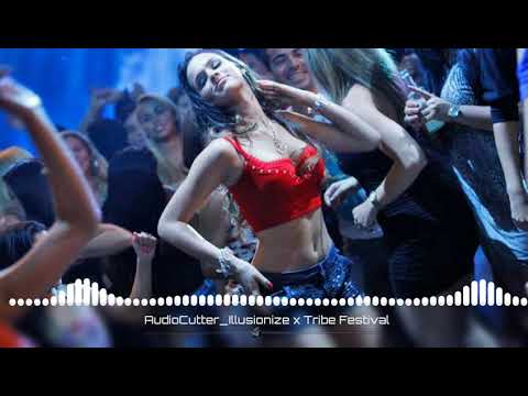 Eletro house tribe festival x illusionize x m.ventura
