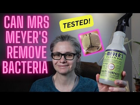 Can Mrs Meyer's Multisurface Cleaner Remove Bacteria? --VIEWER REQUEST!