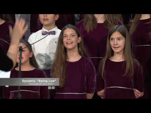 Dynamis 4k: Swing Low, Cernica - iun.2021