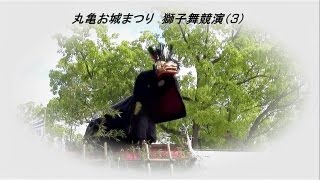 preview picture of video '丸亀お城まつり獅子舞競演2012（3）〈獅子舞乱舞〉Marugame Castle Festival'