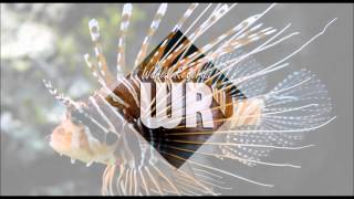 General Pecos - Right Stuff (1997)