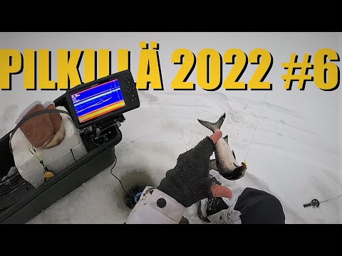 Pilkillä 2022 #6 | Siikaa ja ahventa Iso-Valkeiselta