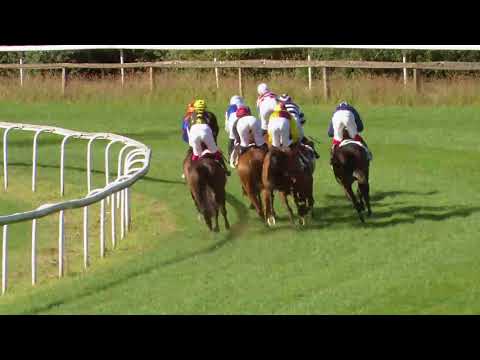 Dielsdorf/22.08.2017/Suppliers' Award of the Horse Park Zurich-Dielsdorf