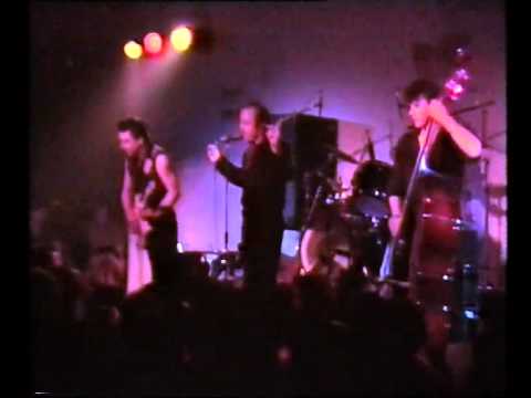 Thumbnail for The Fabulous Thunderbirds 1986 Can't tear it Up Enuff.mp4 by Fran Christina