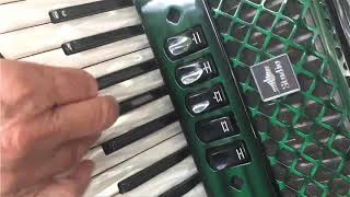 Fleur de Paris: jaunty accordion walk-by pocket doc