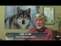 Gray Wolf Documentary Film