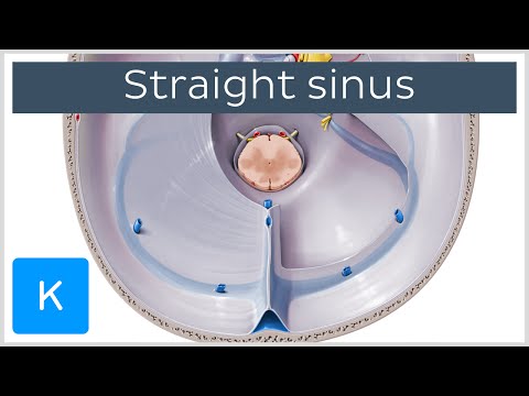 Herniation des lumbalen Band l1 l2 Komplexe Bewegungstherapie der Brustwirbelsäule Fraktur