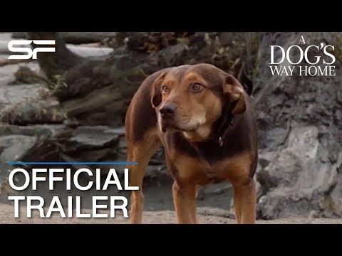 ตัวอย่างอย่างเป็นทางการ [ซับไทย]