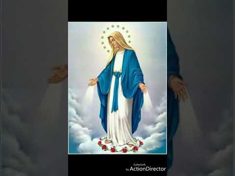 አንድ እርምጃ ሳልራመድ