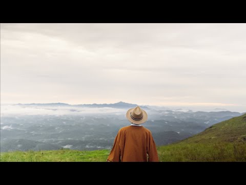 Zero - Jota.pê feat. Lucas Mayer & Bananeira Brass Band