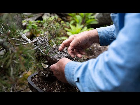 Asymmetry Interview: Dan Robinson