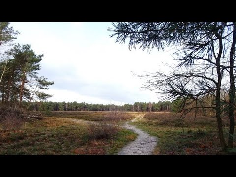 1744 Rijen (Noord-Brabant, NL) 7,3 km