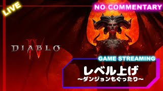 【ディアブロ4】WT3・レベル上げ～サブクエしたりダンジョンもぐったり(DIABLOIV)