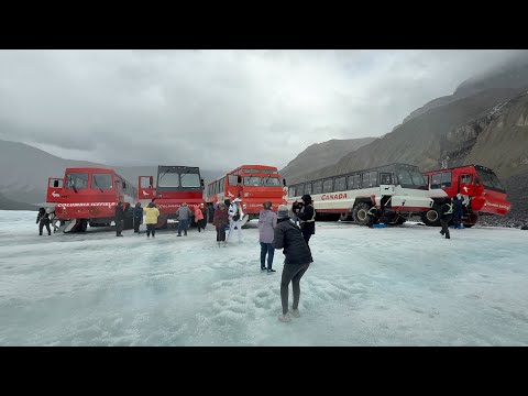 The Best Stop On The Icefields Parkway