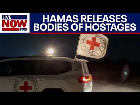 Video | Hamas continues to release bodies of hostages from Gaza