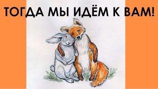 Тогда мы идём к вам! Зайцы в городе!