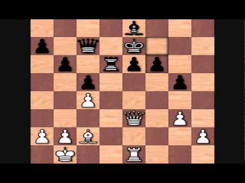 Anatoly Karpov's Top Games: Gata Kamsky vs Karpov