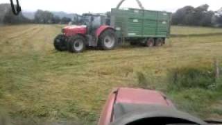 Massey 6465 and 7495 VT at wholecrop
