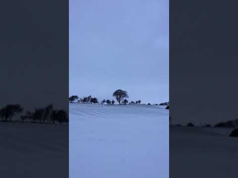 Ski day in Shilbottle