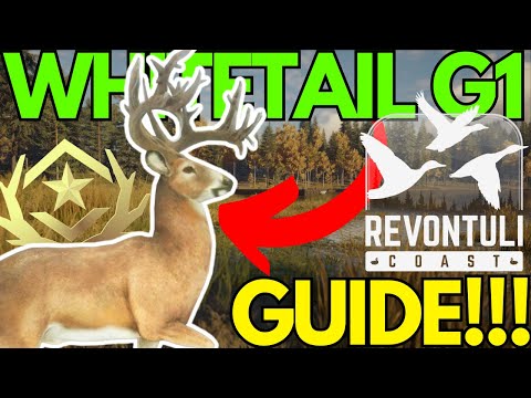 SPAWN Your WHITETAIL Great One EASILY in REVONTULI COAST!! (Guide)  - Call of the Wild