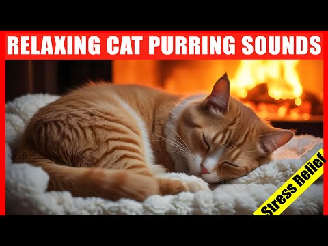Cat Purring Sound. Comforting Purring Sounds to Relax Cats. Healing Purr by Fireplace.Cat ASMR Music