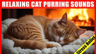 Cat Purring Sound. Comforting Purring Sounds to Relax Cats. Healing Purr by Fireplace.Cat ASMR Music