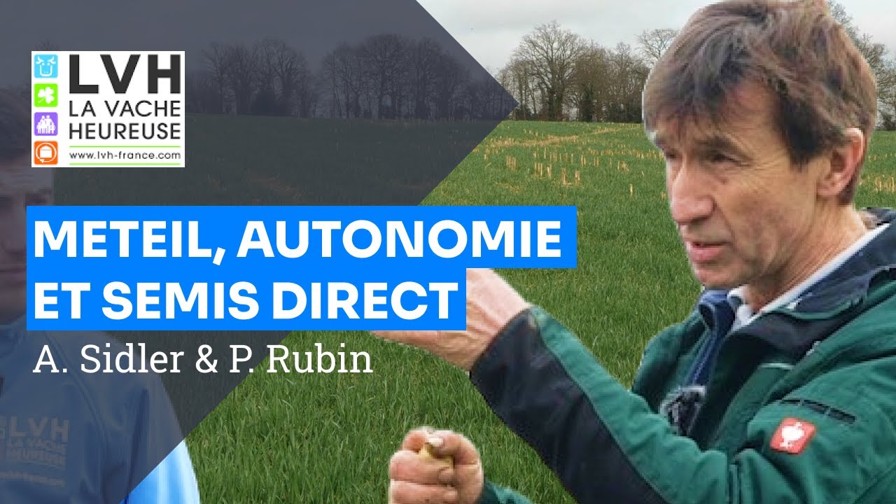 Productivité des prairies et méteils en semis direct, Anton Sidler et Pierre Rubin