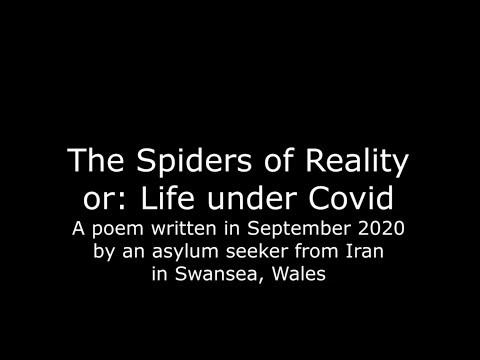 The Spiders of Reality: Life under Covid