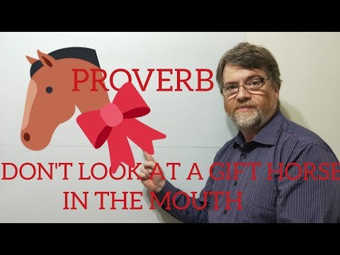 English Tutor Nick P Proverbs (78) Don't Look a Gift Horse in the Mouth