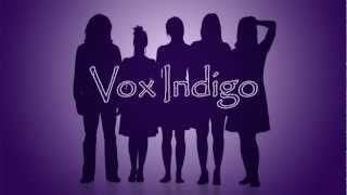 Vox Indigo 