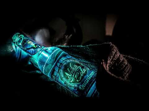 Visions - Anturage & Alexey Union