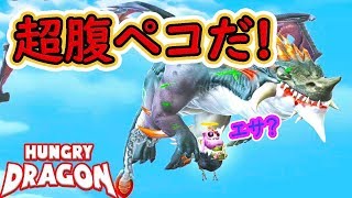 【ハングリードラゴン】お腹空いたら人間だって捕食する！【HungryDragon】