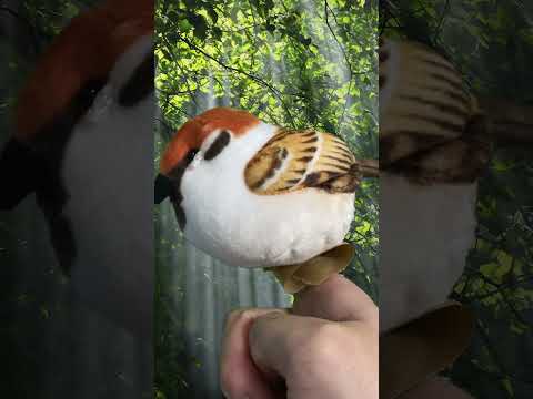 ベランダにスズメを呼び寄せるにはどうすればいいでしょうか？実践すべきすべての正しい行動  庭園