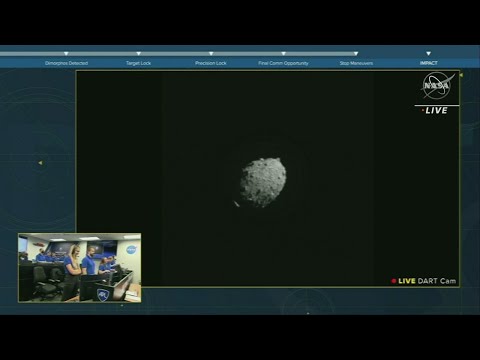 NASA's DART slams into asteroid